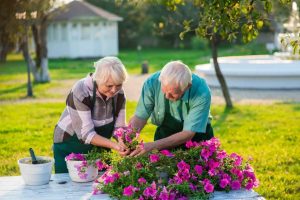 cohousing personas mayores