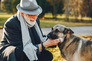 Terapia con perros